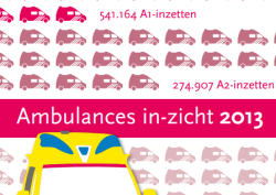 Ambulances in zicht 2013