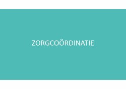 AZN korte presentatie zorgcoördinatie januari 2019